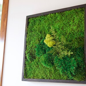 Preserved Moss Wall Art: 18x18 Greenery Panel, Shou Sugi Ban Frame image 3