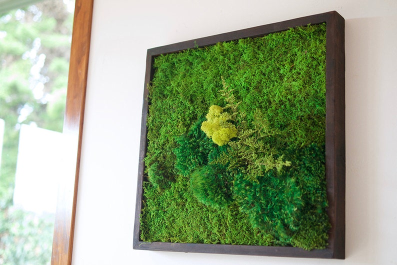 Preserved Moss Wall Art: 18x18 Greenery Panel, Shou Sugi Ban Frame image 3