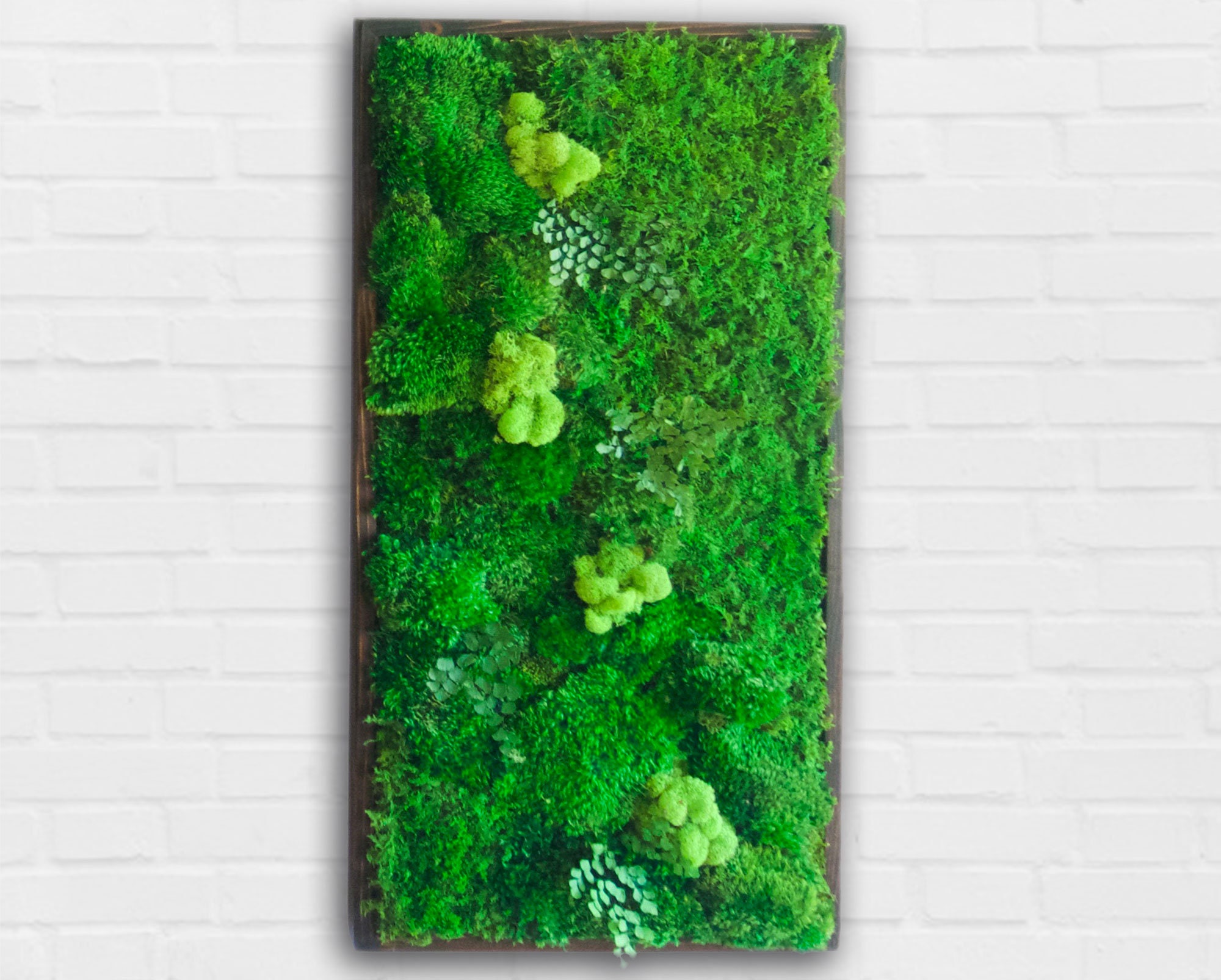 Moss Wall 18x36 - Etsy