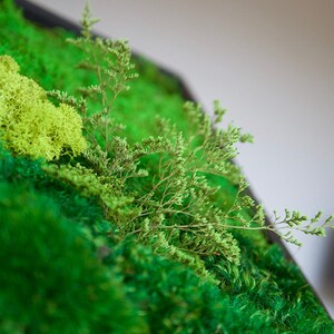 May include: A wall art piece featuring a dense arrangement of preserved green moss in varying shades, including deep forest green and bright lime green, accented with a delicate, light green sprig of dried statice plant extending outward.