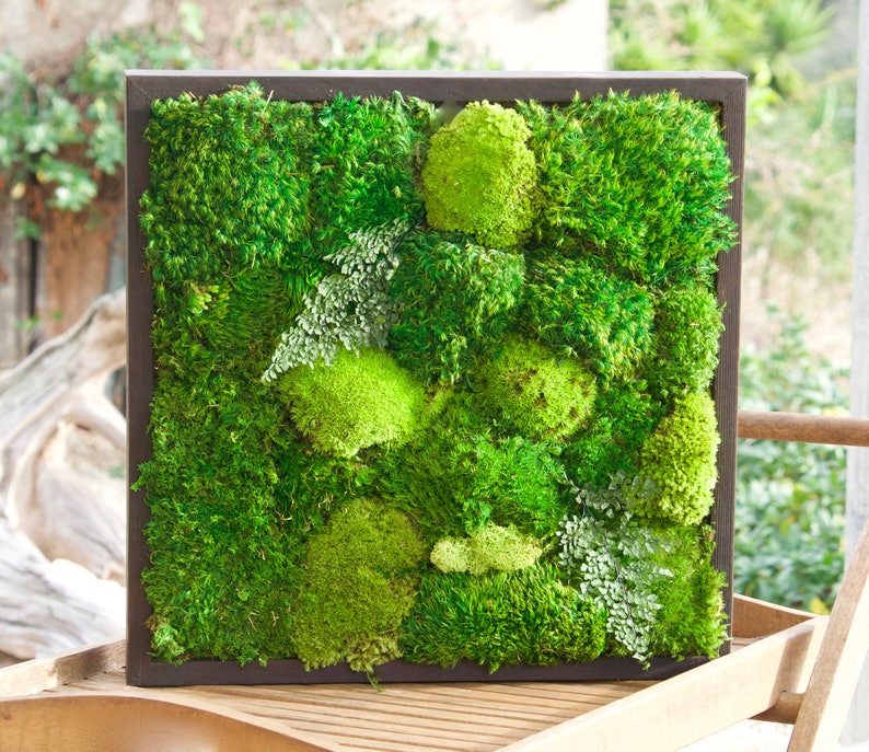 May include: A square wall art piece featuring a dark brown wooden frame filled with a dense arrangement of preserved green moss in various shades and textures, interspersed with small, delicate fern-like foliage throughout the composition.