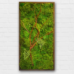 18x36 Moss Wall Art with Manzanita branches. Real preserved zero-care green wall. Real preserved moss. image 6