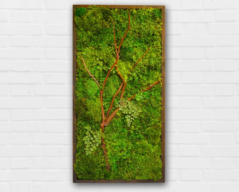 18x36 Moss Wall Art with Manzanita branches. Real preserved zero-care green wall. Real preserved moss. image 6