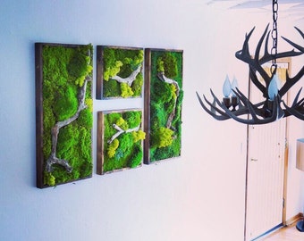 Moss Wall Art Collage. (1) 18x18" (1) 18x15" and (2) 18x36" moss art pieces. Real preserved moss, ferns, and driftwood. No care green wall