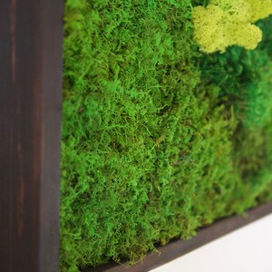 May include: A rectangular wall art piece featuring a dense arrangement of preserved green moss in various shades, including vibrant lime and deep forest green, encased within a dark brown wooden frame with a smooth, matte finish.
