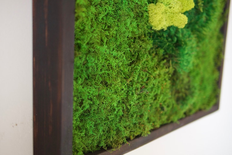 May include: A rectangular wall art piece featuring a dense arrangement of preserved green moss in various shades, including vibrant lime and deep forest green, encased within a dark brown wooden frame with a smooth, matte finish.