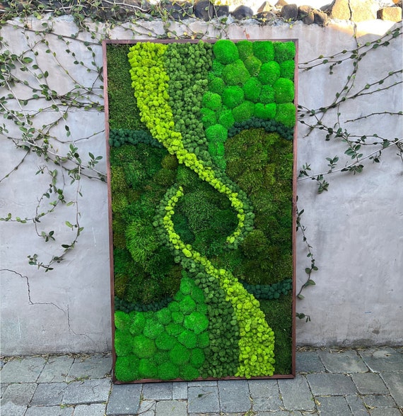 Preserved Moss Wall with Manzanita Branches, White Reindeer Moss