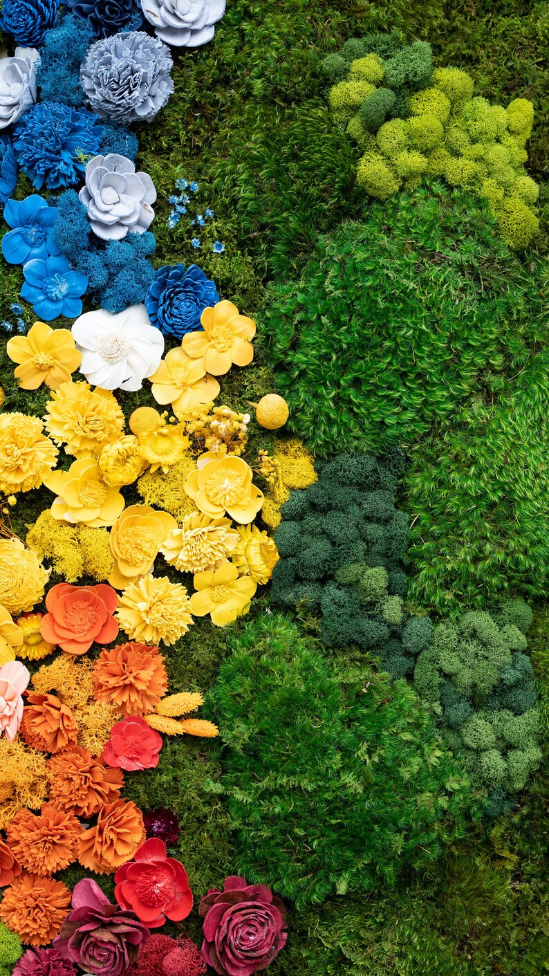 Rainbow Flower Moss Wall Green Wall Art Preserved Moss Etsy