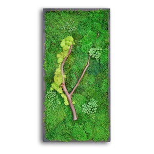 18x36 Moss Wall Art with Manzanita branches. Real preserved zero-care green wall. Real preserved moss. image 2