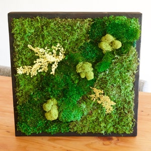 May include: A square wall art piece featuring a dark brown wooden frame filled with various textures of preserved green moss and small, light yellow fern-like sprigs arranged across the surface to create a dense, multi-layered botanical display.