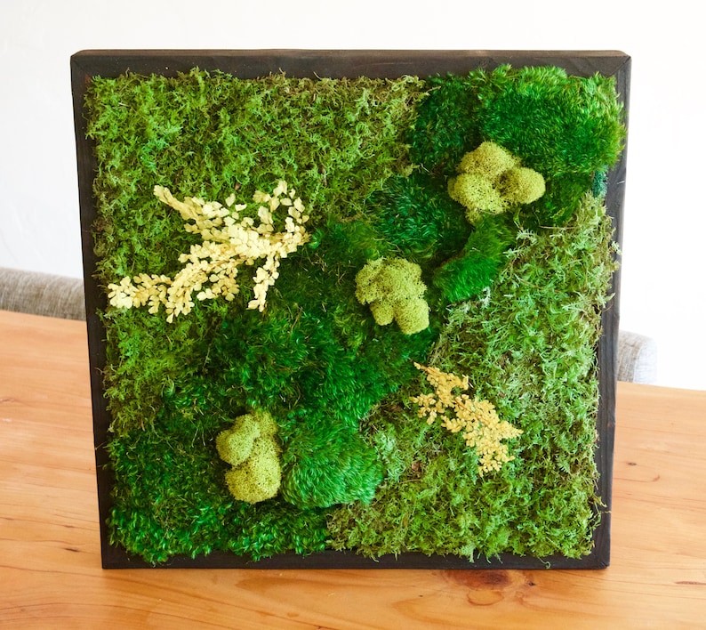 May include: A square wall art piece featuring a dark brown wooden frame filled with various textures of preserved green moss and small, light yellow fern-like sprigs arranged across the surface to create a dense, multi-layered botanical display.