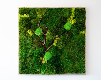 Preserved Moss Wall Art with Manzanita