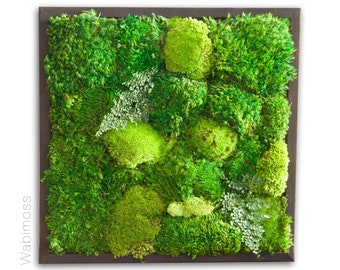 18x18 Moss Wall Art. Real preserved green wall with moss and ferns. Zero-care hanging indoor plant art in pine frame.