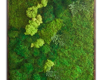 Moss Wall Art. Vertical green wall. 36"x54"  Real preserved moss and ferns. Artisan plant art.