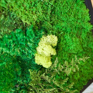 May include: A wall art piece featuring a dense arrangement of preserved green moss in various shades, including deep forest green and bright lime green, set within a dark frame. The texture is varied with tufted and flat moss sections.