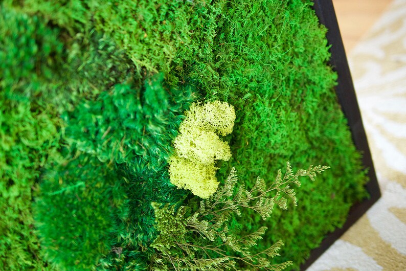 May include: A wall art piece featuring a dense arrangement of preserved green moss in various shades, including deep forest green and bright lime green, set within a dark frame. The texture is varied with tufted and flat moss sections.