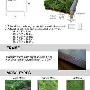 Preserved Moss Wall Art: 18x18 Greenery Panel, Shou Sugi Ban Frame image 9