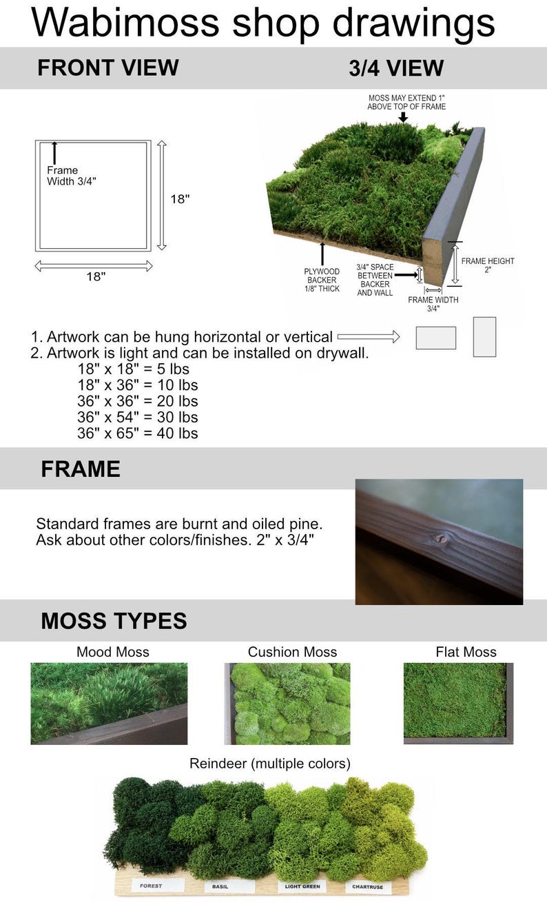 Preserved Moss Wall Art: 18x18 Greenery Panel, Shou Sugi Ban Frame image 9