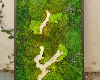 18x36" Moss Wall Art with Grape wood