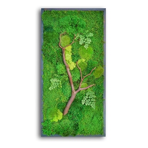 18x36" Moss Wall Art with Manzanita branches. Real preserved zero-care green wall. Real preserved moss.