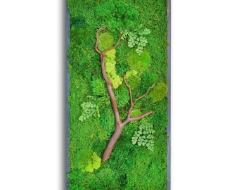 Preserved Moss Wall Art with Manzanita Branches - 18x36" Shou Sugi Ban Frame