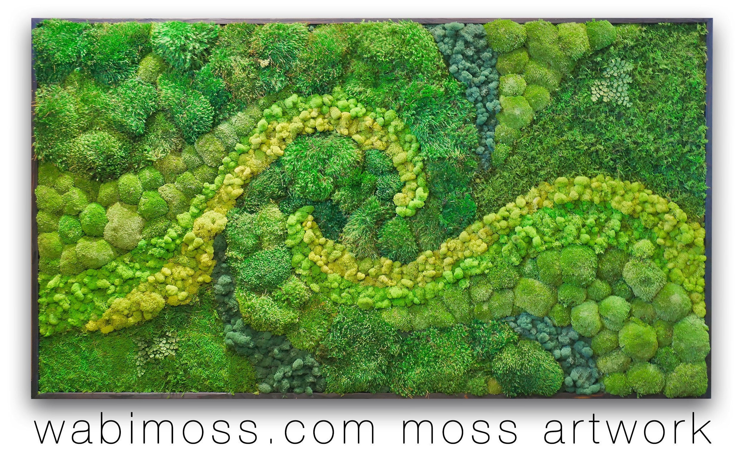 58x58 Real Preserved Moss Wall Art Green Wall Collage No Sticks. No Care Green Wall Art. Real Preserved Moss and Ferns