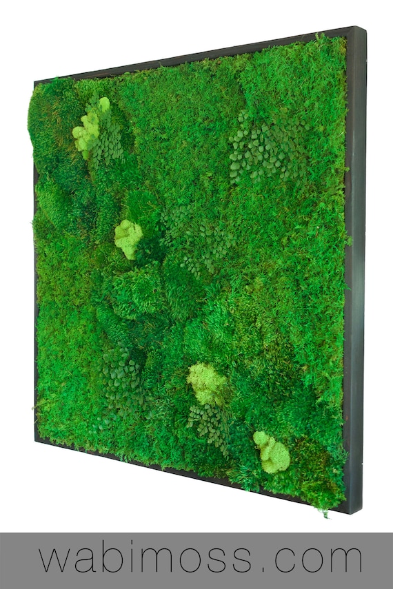 Preserved Moss Wall Art: 36x36 Pine Frame, Shou Sugi Ban Finish - Etsy