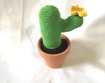 Decorative floral cactus without the thorns!
