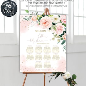 Blush Pink Floral Baby Shower Seating Chart Template, Printable Seating Chart Sign, Seating Plan Sign, Table Seating Plan, B10B