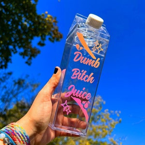 Bouteille d'eau en carton de 500 ml de Dumb Bitch Juice + LIVRAISON GRATUITE // Jolie bouteille de voyage en acrylique pour l'école, le travail, la salle de sport et la maison