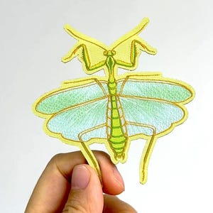 Praying Mantis Insect 3" Iron- on Patch