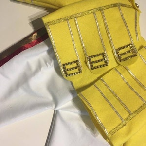 Freddie Mercury carnival dress