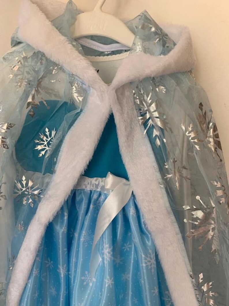 Elsa costume carnival dress