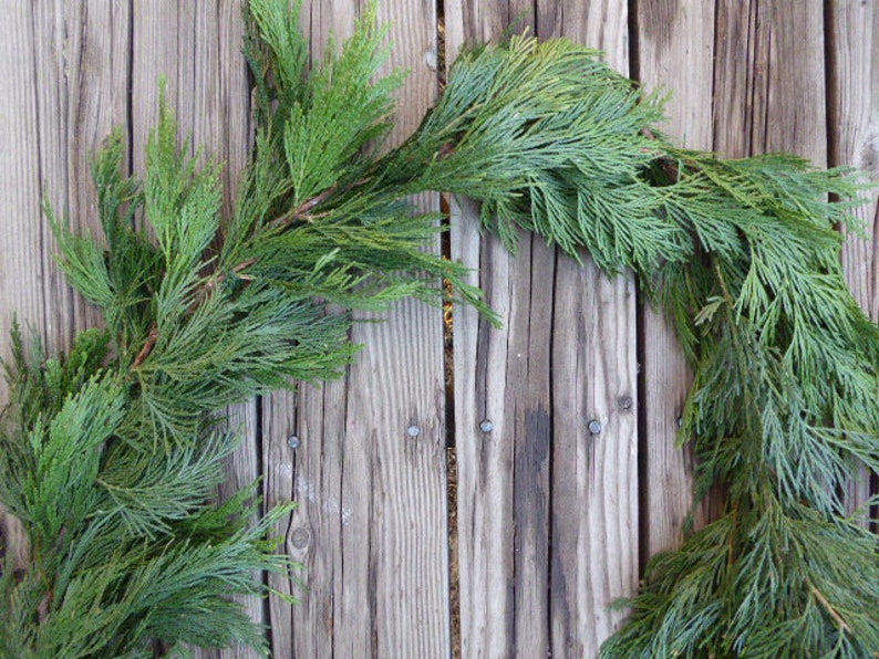 Real Cedar garlandreal greenery garland for winter Etsy
