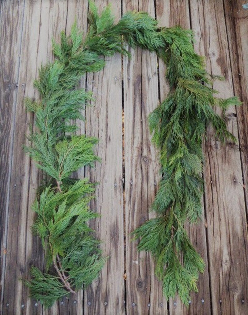 Real Cedar garlandreal greenery garland for winter Etsy