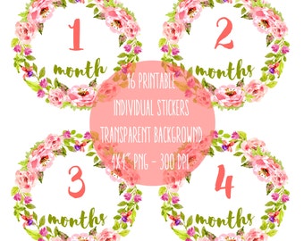 Baby stickers pack - All 12 Months of the first year + "Newborn" and additional the first 3 weeks Clip Art Watercolor Roses Instat Download