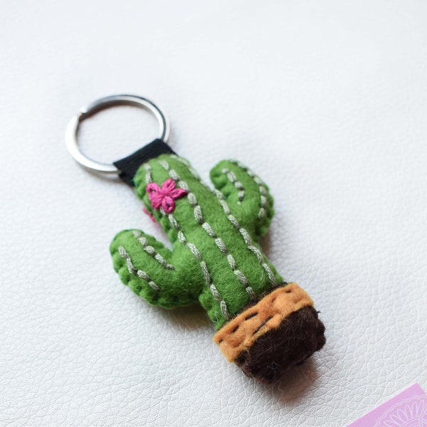 Portachiavi cactus, decorazione per auto