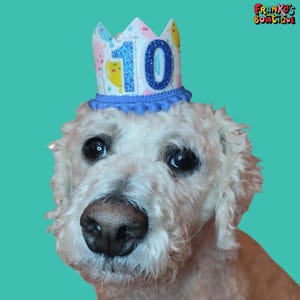 Birthday Balloon Dog Party Crown - Dog birthday Hat, Pet Party Hats, Crowns for Dogs, Gift For Pets