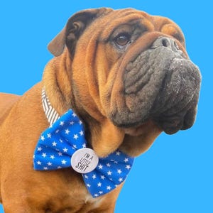 I&#39;m a little Sh*t Dog Badge Bow® - Pet, Cat, Dogs Fun Neckwear Bow Tie