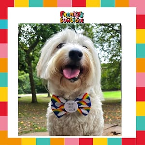 Barky Little F*cker Badge Bow® - Fun Bowtie Neckwear for a Dog, Pet bow tie for sassy dogs