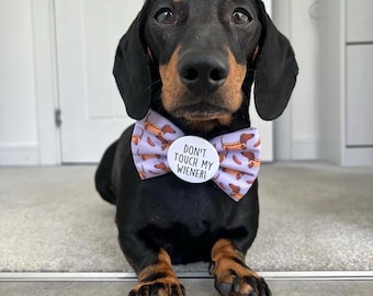 Badge Bows: Don't Touch me Wiener, funny dog bow tie, dog bow ties, badge bows, rude dog bow tie, dog bow ties, bow ties for dogs, dog bow