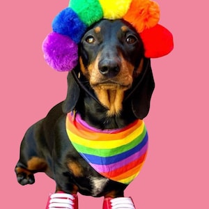 Rainbow Pride Dog Bandana: LGBTQ Pet Apparel