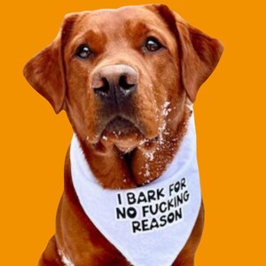Quirky Dog Bandana "I Bark for No Reason" | Funny Adjustable Dog Bandana - Pets, Cats fun Humorous Neckwear, Birthday giftful for dog owner