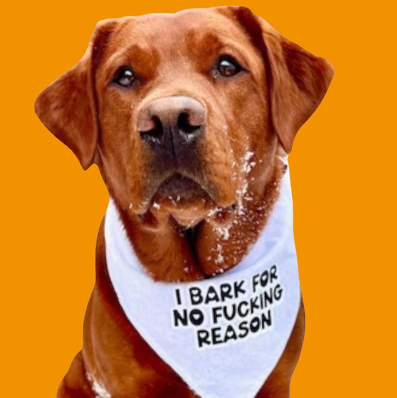 Quirky Dog Bandana "I Bark for No Reason" | Funny Adjustable Dog Bandana - Pets, Cats fun Humorous Neckwear, Birthday giftful for dog owner