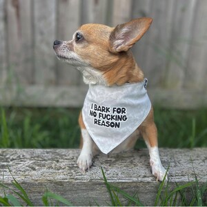 Quirky Dog Bandana: "I Bark for No Reason" Funny Adjustable Pet Bandana image 9