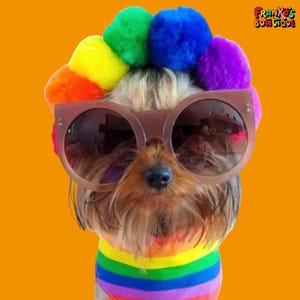 Rainbow Pom Pom Dog Headband: Handmade Pride Pet Accessory