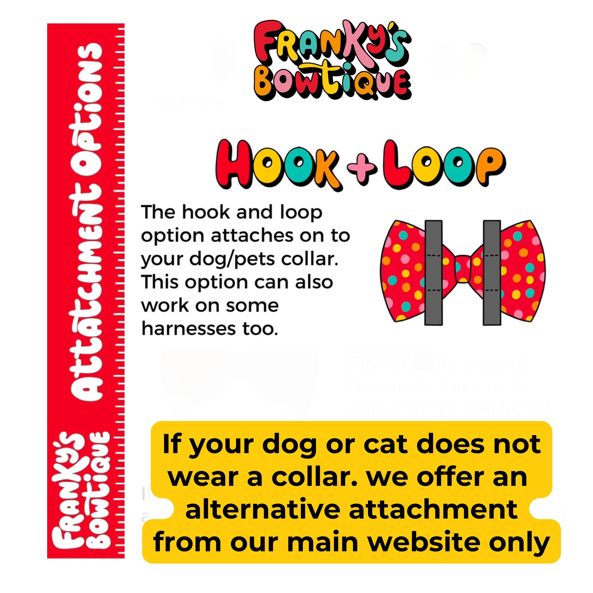 Rude Dog Bow Tie – I Only Bark at Cxnts, Pet Clothing - Etsy 日本