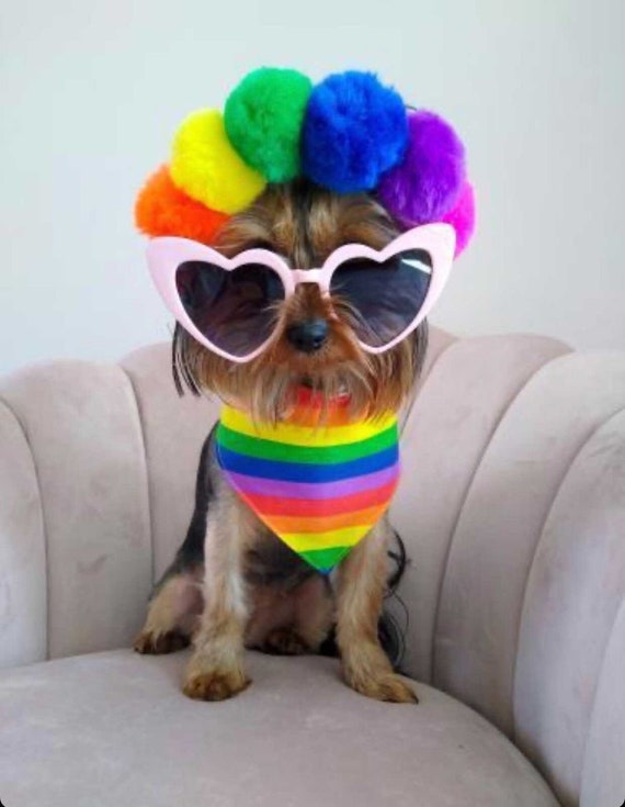 Pride hot sale dog accessories