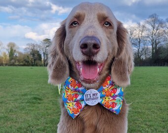 Badge Bow Fun time Birthday, noeud papillon anniversaire chien, noeud papillon chien, noeuds badge, anniversaire animal de compagnie, anniversaire chien, ballons d'anniversaire, noeud anniversaire chien,