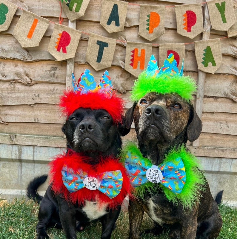 Noeud d'insigne sur mesure, noeud papillon pour chien personnalisé, noeud pour chien, noeuds papillon pour chien, noeuds papillon pour Pâques, noeuds papillon pour la fête des mères, noeuds papillon pour les anniversaires image 7